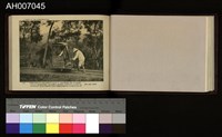 台灣的風光 (柯羅版寫真帖)藏品圖，第23張